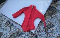 icebreaker red top bk